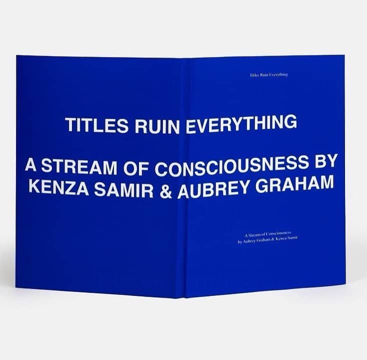 Drake wrote a book of poetry titled Ruin Everything